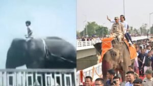 Assam CM Himanta Biswa Sarma again rode an elephant on Kampur Bridge after 40 years