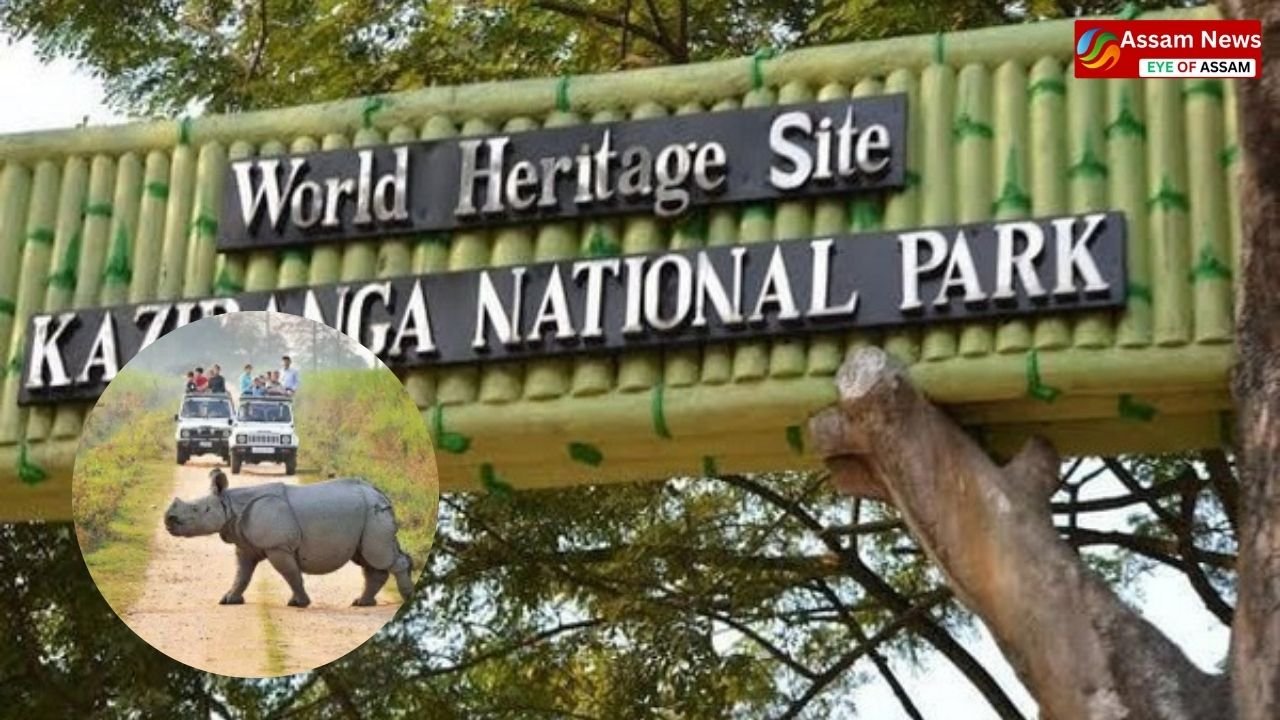 Danger increases for Kaziranga- Chief Minister's Office warns of closing the safari!