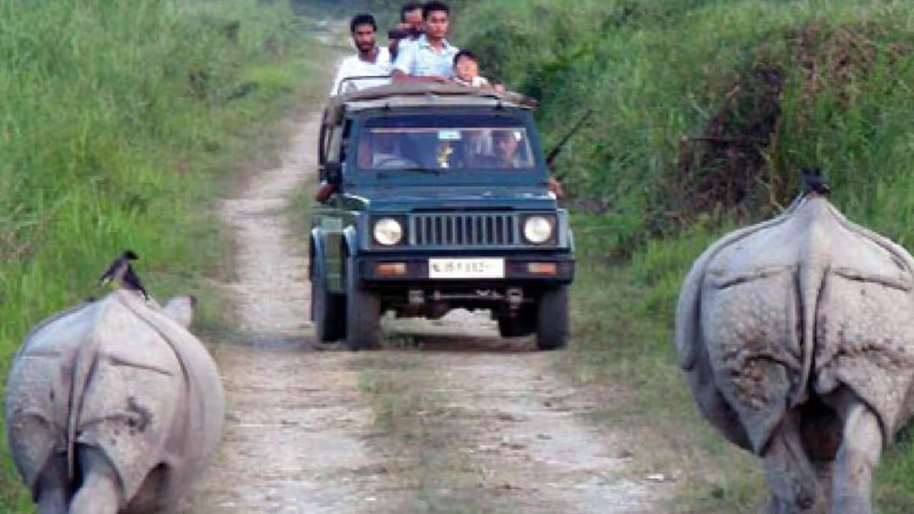 Danger increases for Kaziranga- Chief Minister's Office warns of closing the safari!