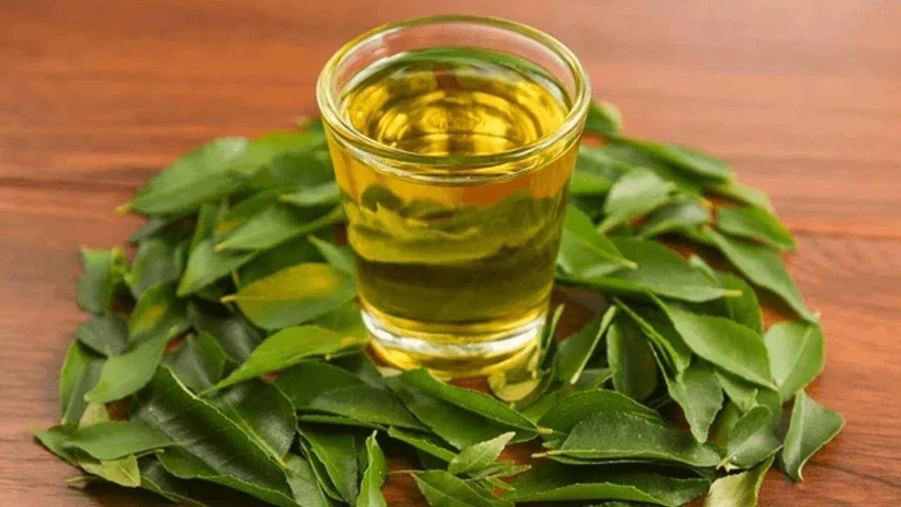 Curry Leaves Water: Drink this green magic every day on an empty stomach, say goodbye to everything from cold and cough to heart disease