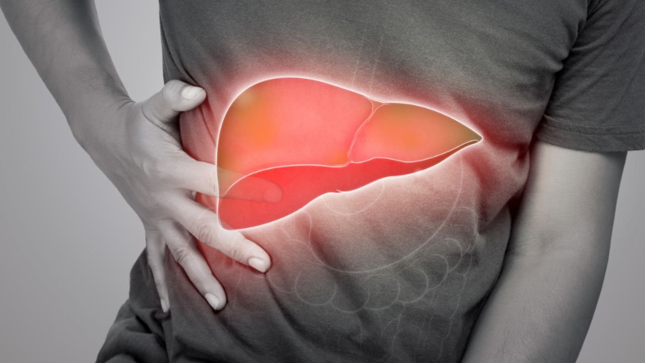 Liver is an important organ of the body which cleans toxic elements and medicines from the blood.