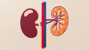 Kidney Infection: Why do women get more kidney infections? You will be surprised to know the reason