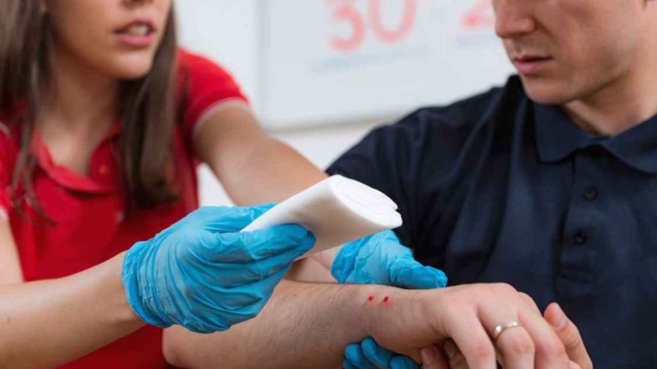 First Aid For Snake Bite: What to Do Immediately After a Snake Bite! Life-Saving Tips Everyone Should Know
