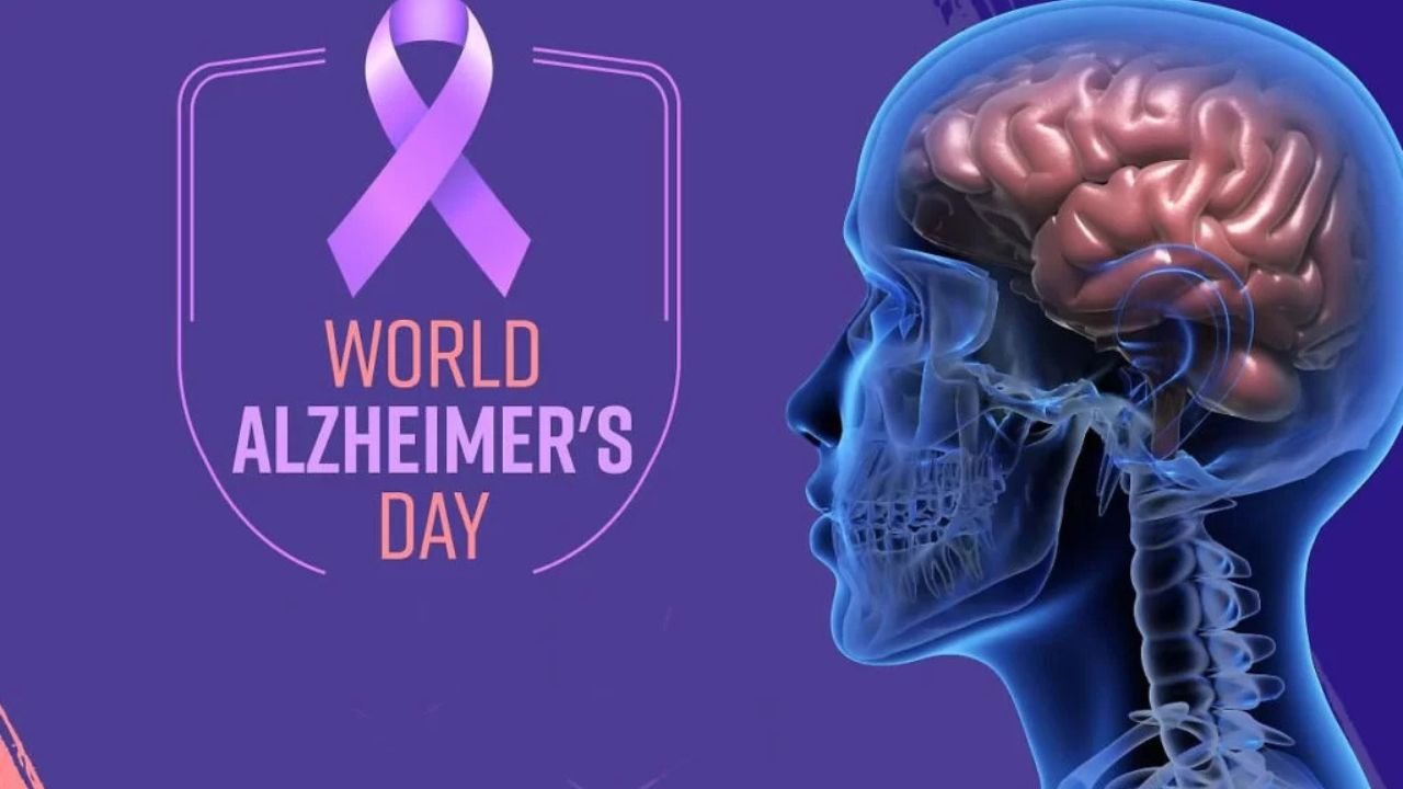 World Alzheimer's Day: Adopt a healthy lifestyle and avoid Alzheimer's; mental exercise and a balanced diet are important solutions.