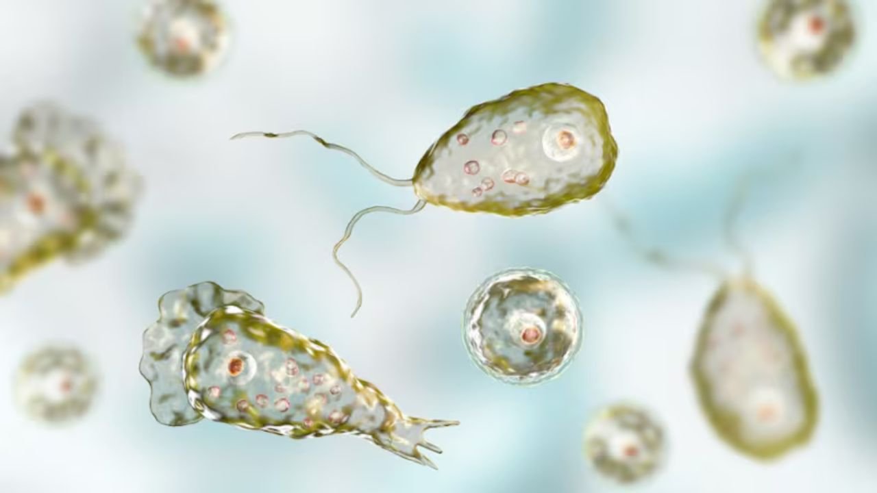 Brain-eating amoeba causes panic in Kerala, 61 infected, death toll 19, health alert issued