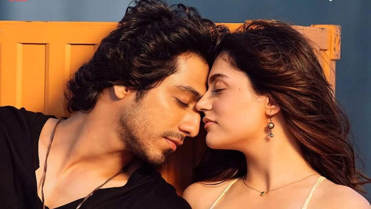 Saiyyara, which earned 600 crores, is now on OTT! Know when and where you can watch this emotional blockbuster