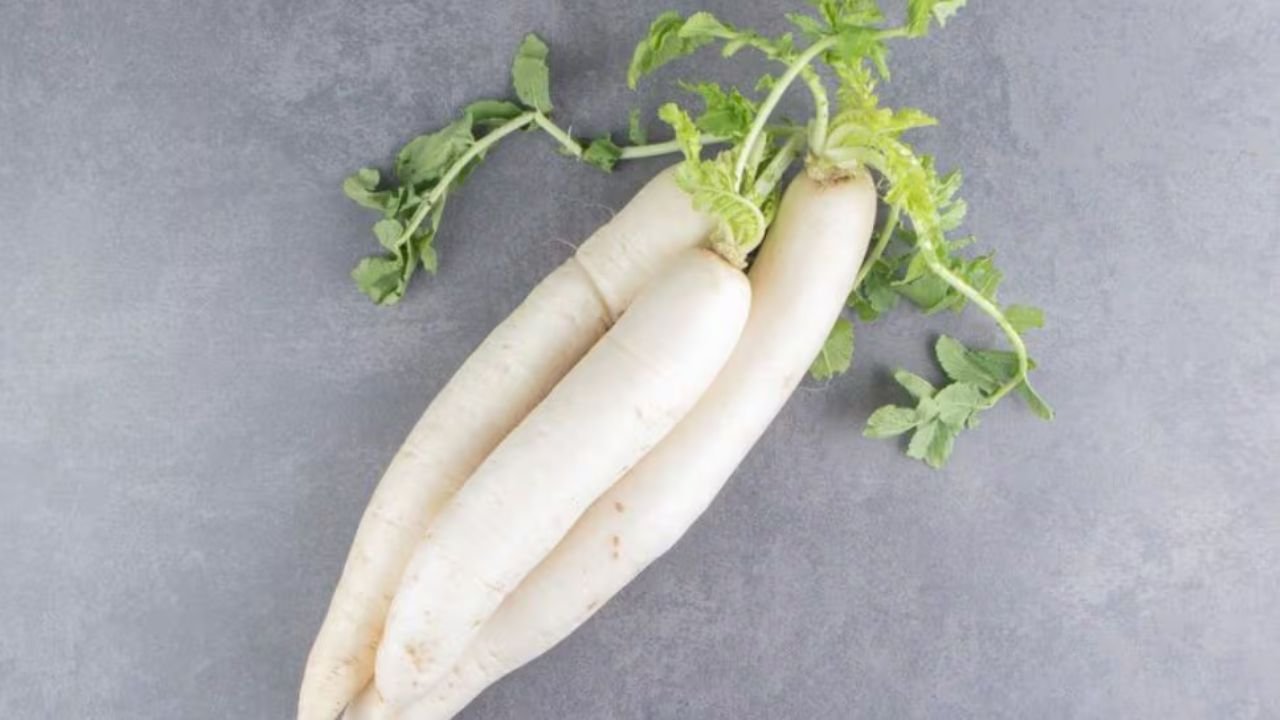 Vitamin In Radish: Surprising benefits of eating radish in winter, know which vitamins make it a health booster.