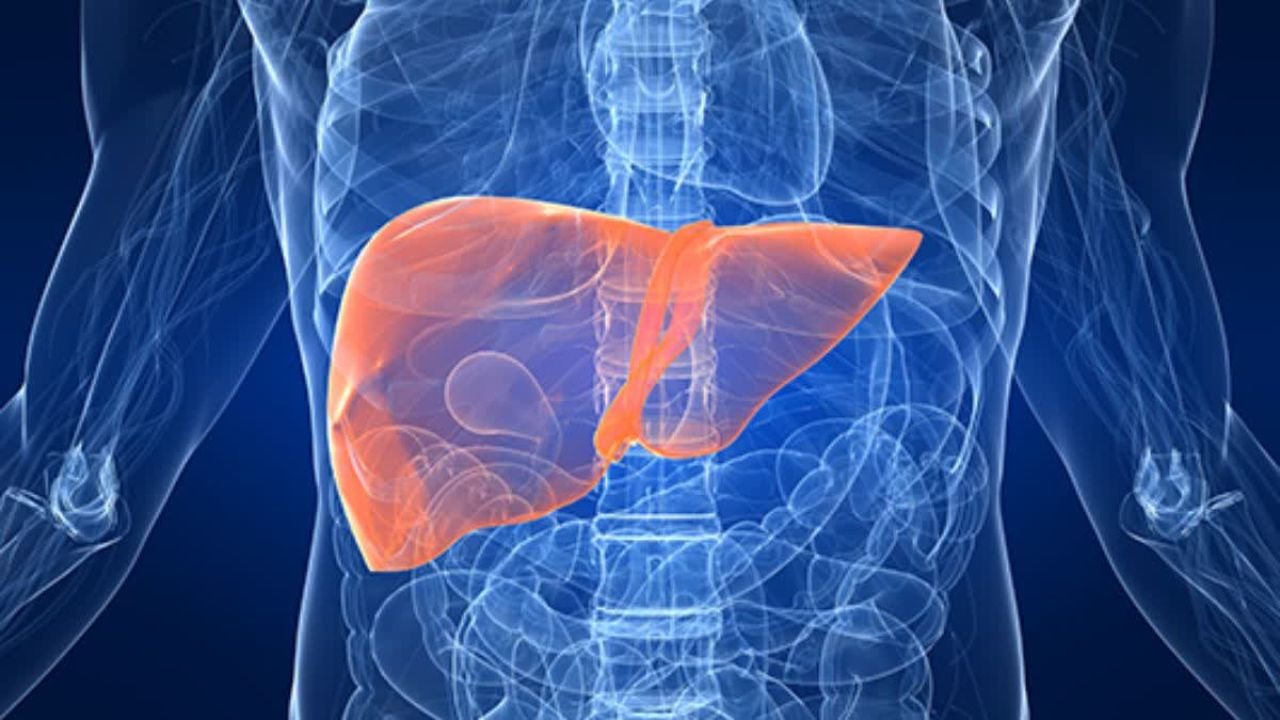Liver cirrhosis stages: Learn how dangerous this disease is, at what stage it can turn into cancer, and be careful in time.