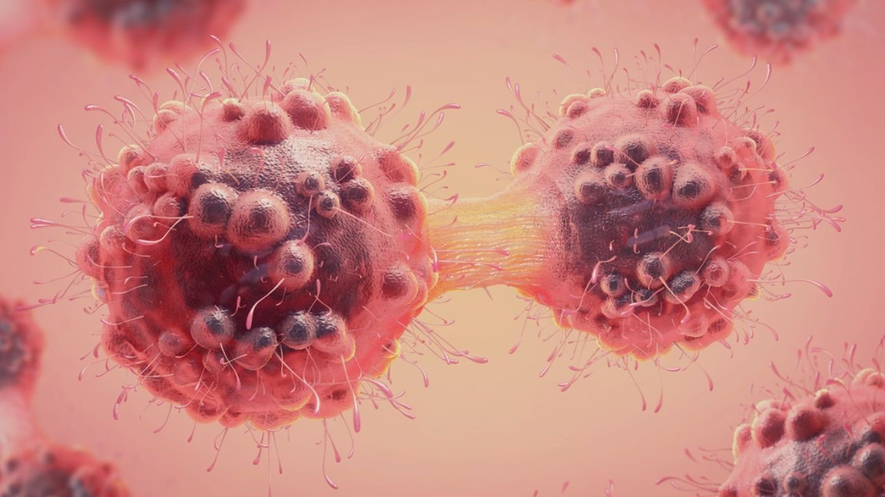 Cancer Early Symptoms: Lumps or swelling in the body, changes in stool and urine, and bleeding are signs of cancer that require early identification.