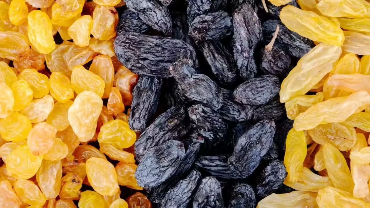 Yellow vs. Black Raisins! Which is more beneficial for health? Learn the shocking truth.
