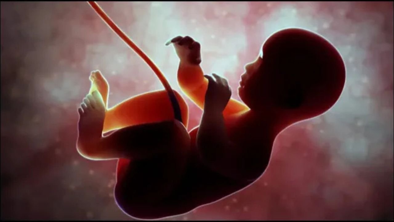 The solution to infertility! Scientists have discovered a technique that could help you create the family of your dreams!