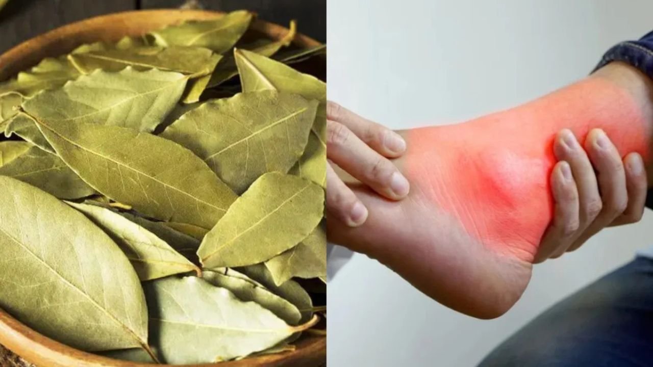Struggling with uric acid? Just one leaf will do the trick, and your bone pain will disappear!