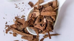 Arjuna bark strengthens health with powerful antioxidants and vital nutrients.