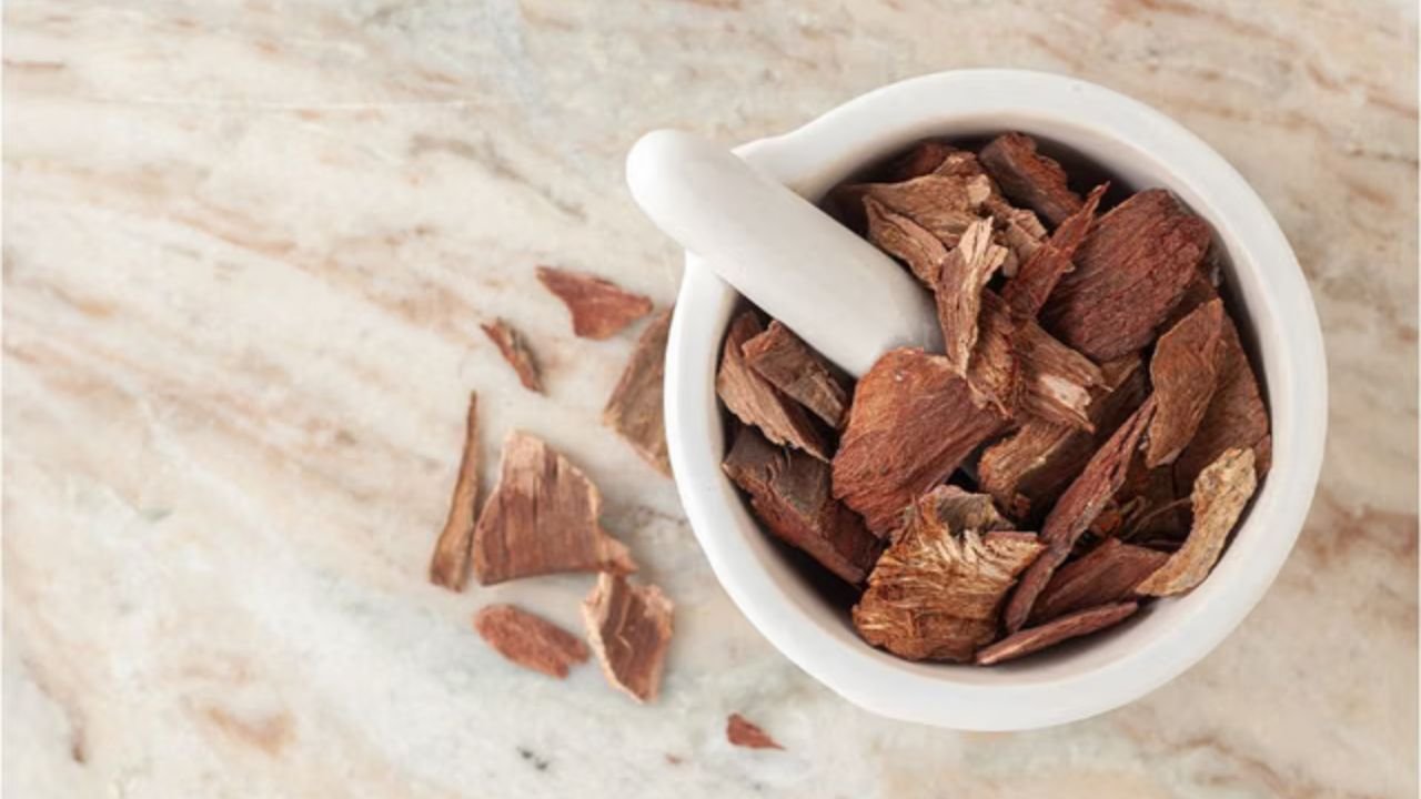 Arjuna bark strengthens health with powerful antioxidants and vital nutrients.