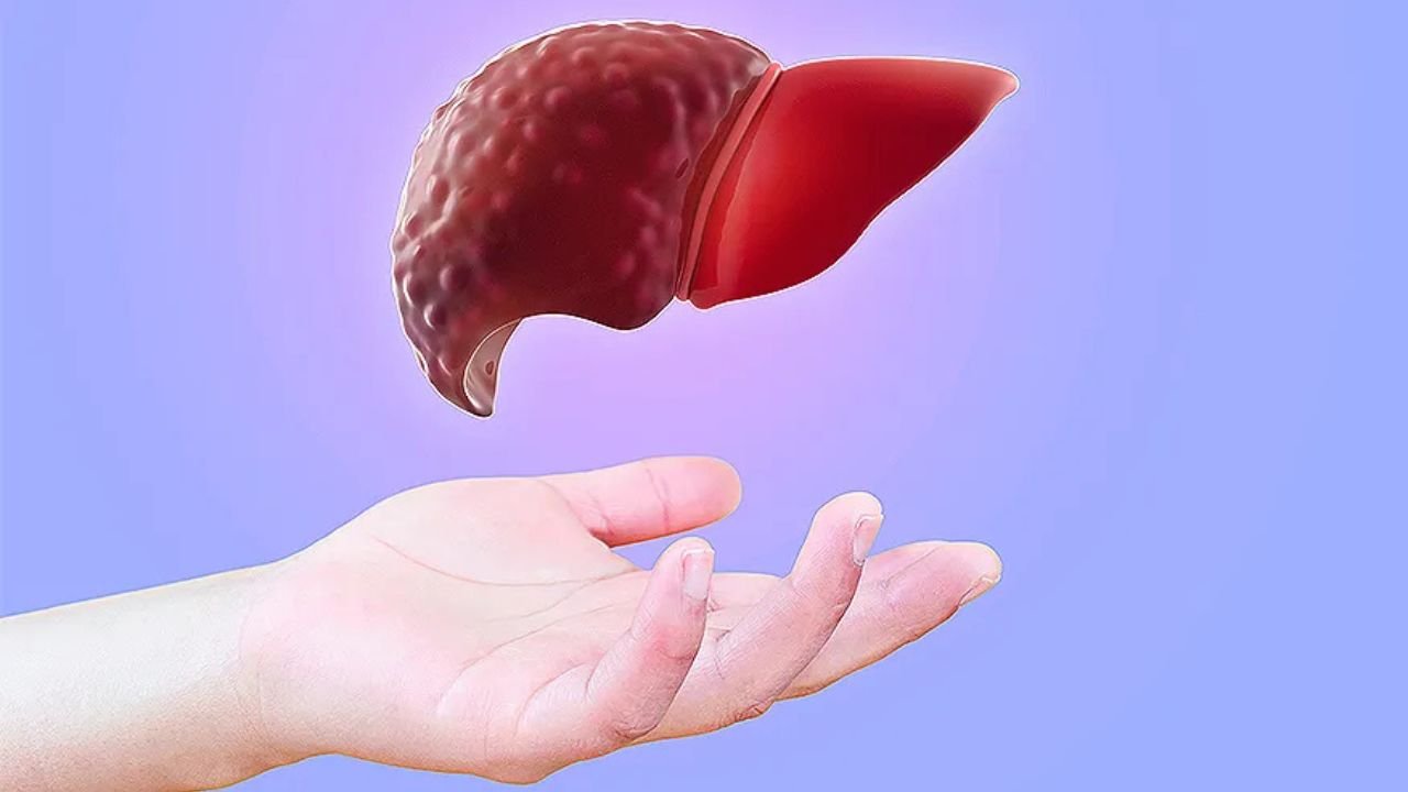 Harmful Jobs for Liver Health: Office jobs that harm the liver—be careful if you're working day and night, these are the signs you'll see first.