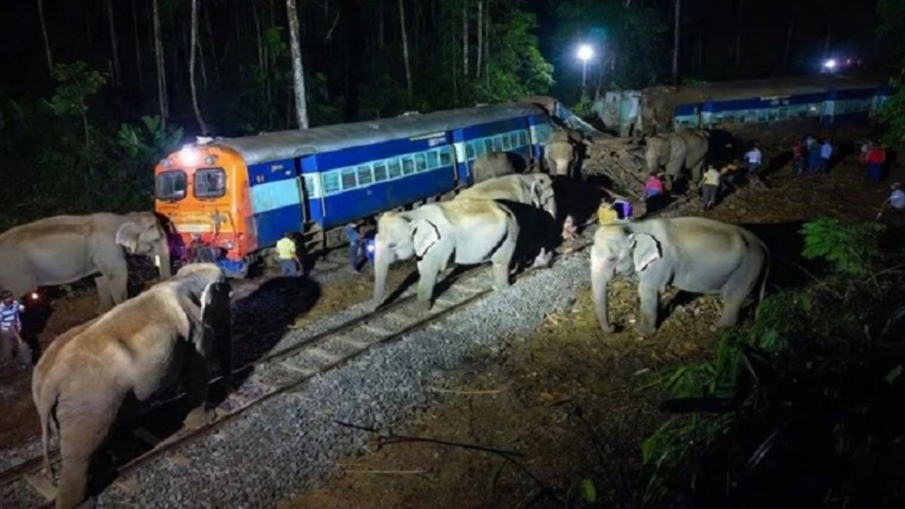 Train derails in Assam, the engine and five coaches of the Sairang-New Delhi Rajdhani Express damaged.