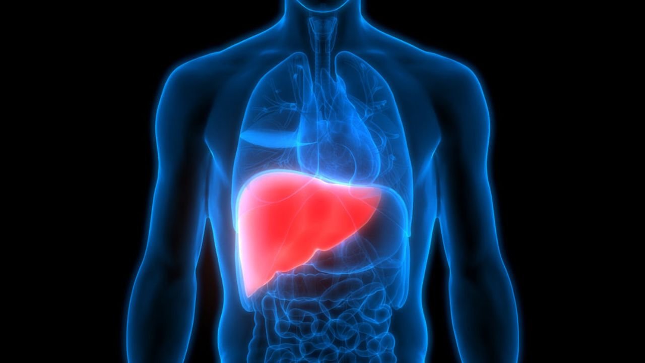 Liver Cancer Symptoms: The real cause of liver cancer? The biggest danger lies in your plate!