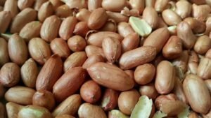 Peanuts: Not just a snack, scientists say they also boost brain and mental health in winter