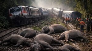 Train derails in Assam, the engine and five coaches of the Sairang-New Delhi Rajdhani Express damaged.