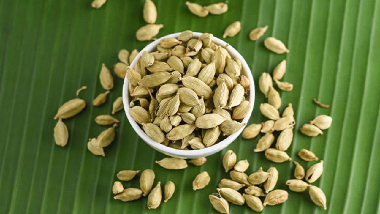 Green Cardamom Health Benefits: Making a habit of eating green cardamom can completely change your sleep and mood.
