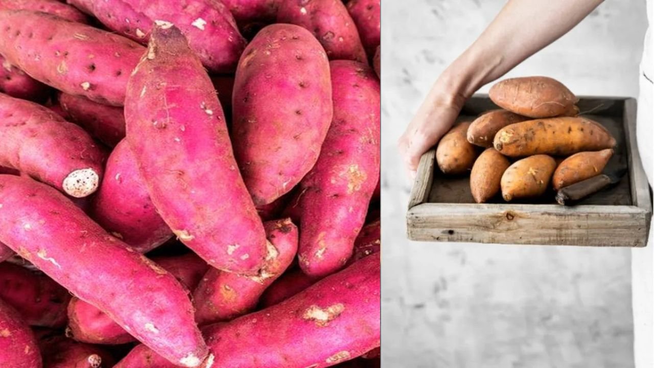 Red or white sweet potatoes: Which is more beneficial for health in winter?