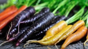 Black Carrot Benefits: Black carrots are more beneficial than red ones; learn about their surprising health benefits.