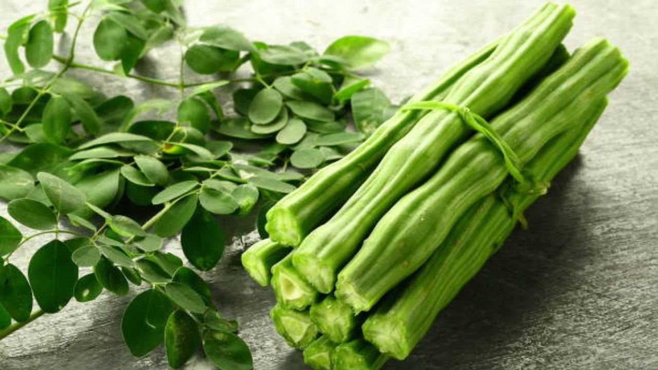Superfood Moringa: Learn which diseases this magical drumstick is beneficial for
