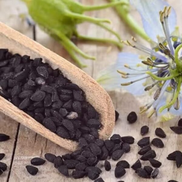 How Nigella Sativa Can Transform Your Health: From Diabetes to Asthma Relief