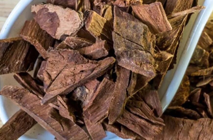 Arjuna bark has medicinal properties that strengthen the body from within.