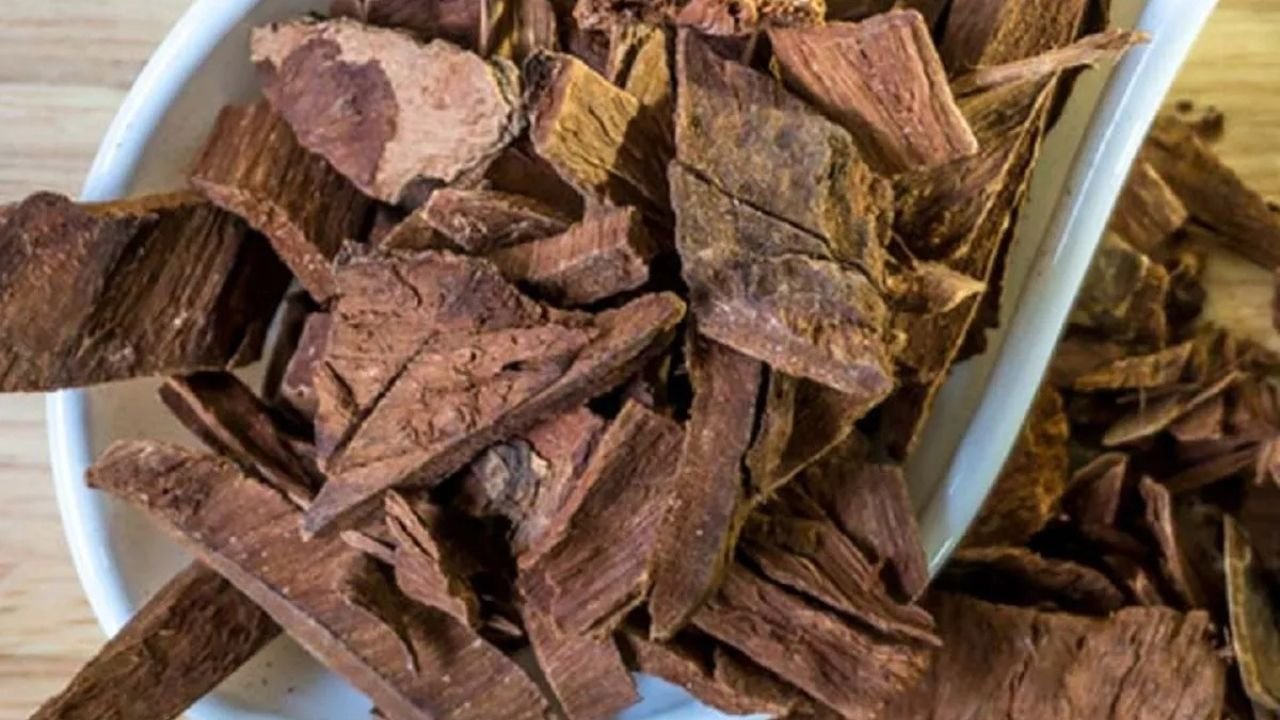 Arjuna bark has medicinal properties that strengthen the body from within.
