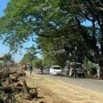 Assam Sees Massive Tree Felling for Infrastructure Projects Despite Government-Led Plantation Drives