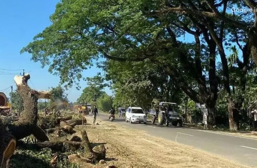 Assam Sees Massive Tree Felling for Infrastructure Projects Despite Government-Led Plantation Drives
