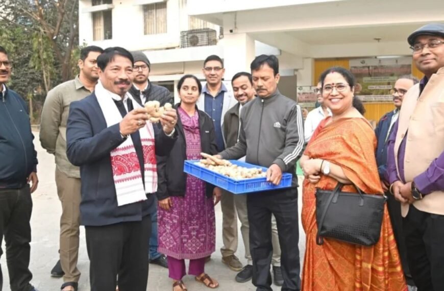 Assam Marks Historic Export of GI-Tagged Karbi Anglong Ginger to London
