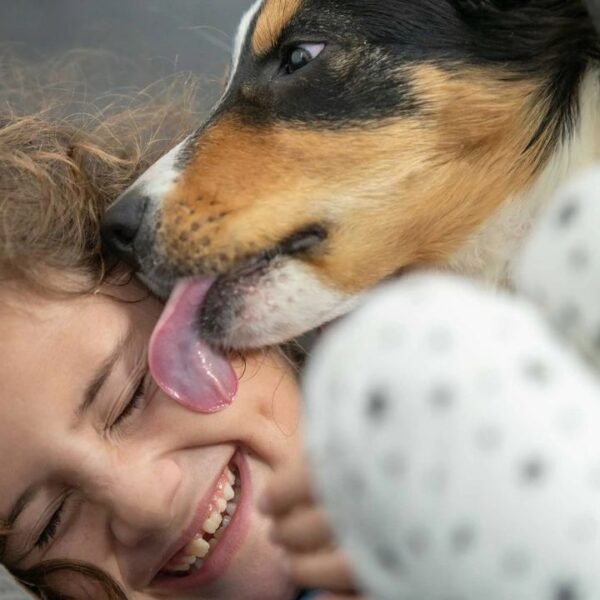 Dog licking an injury can spread serious viruses; learn about immediate preventive measures.