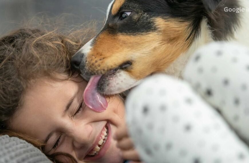 Dog licking an injury can spread serious viruses; learn about immediate preventive measures.