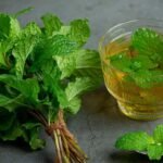Tulsi Water Secret Uncovered How This Simple Drink Can Boost Health Naturally