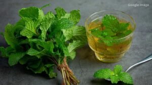 Tulsi Water Secret Uncovered How This Simple Drink Can Boost Health Naturally