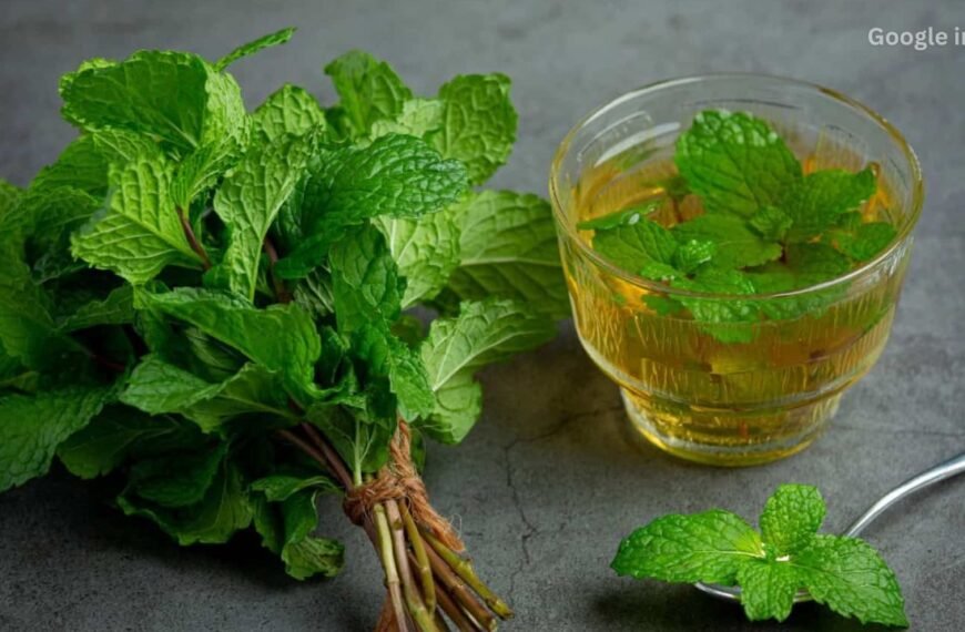 Tulsi Water Secret Uncovered How This Simple Drink Can Boost Health Naturally