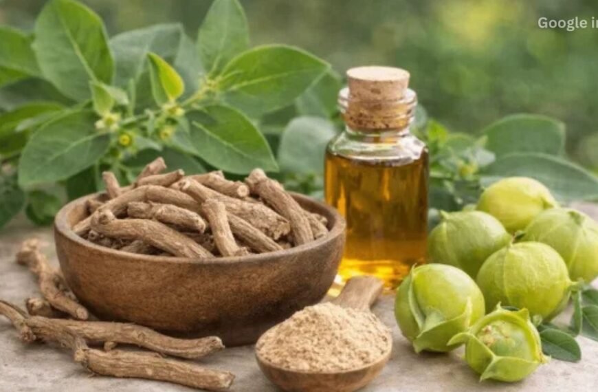 Ashwagandha Alert FSSAI Directs Companies to Use Roots Only Amid Safety Concerns