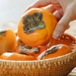 Tendu Fruit Emerges as a Powerful Summer Superfood Packed with Essential Nutrients