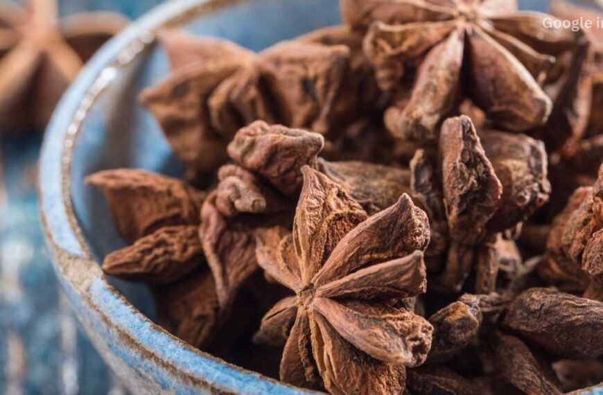 Drinking Star Anise Water Daily May Boost Immunity and Reduce Inflammation Fast